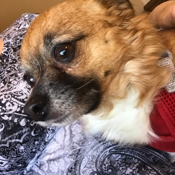 Meet your Posher, Pam - Picture 1 of 1